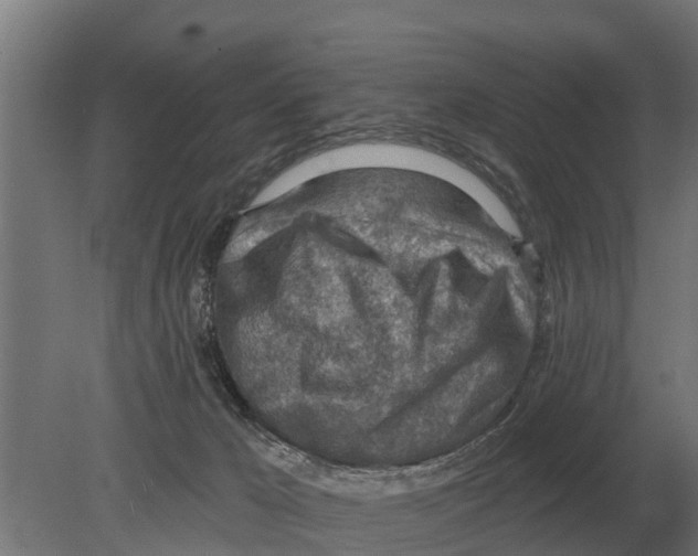 X0000080200029200701051800