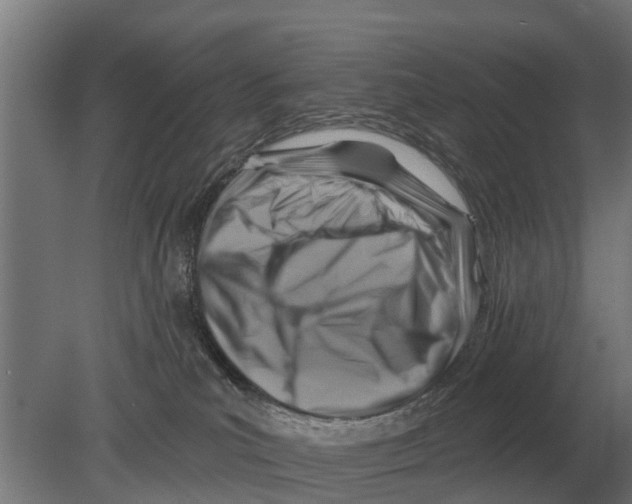 X0000080200039200701051800