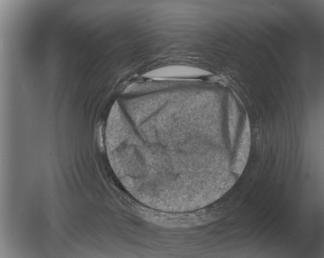 X0000080200042200701051800