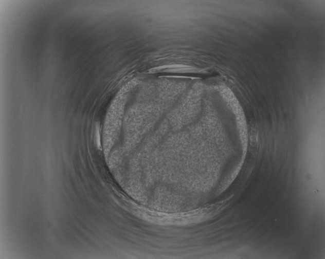 X0000080200046200701051800