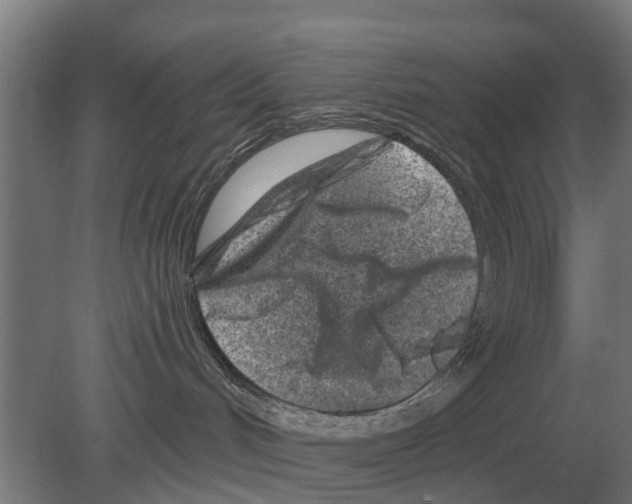 X0000080200048200701051800