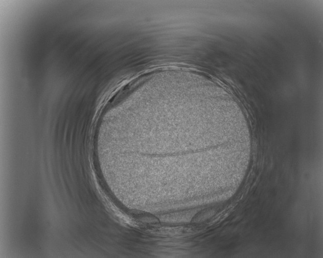 X0000080200049200701051759