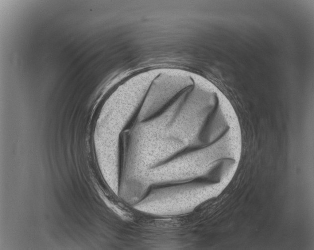 X0000080200050200701051759