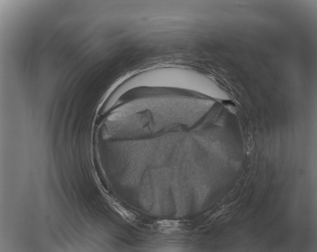 X0000080200052200701051759