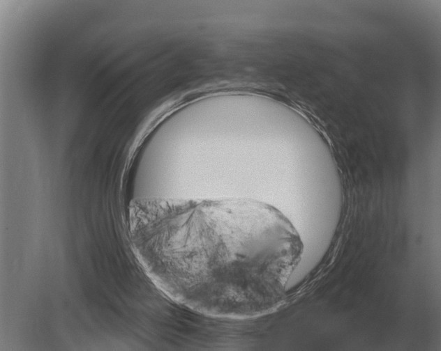 X0000080200053200701051759