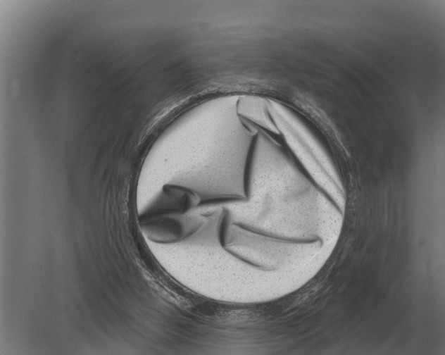 X0000080200058200701051759