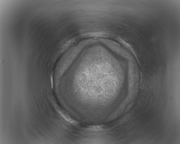 X0000080200061200701051759