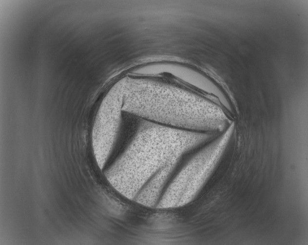 X0000080200063200701051759