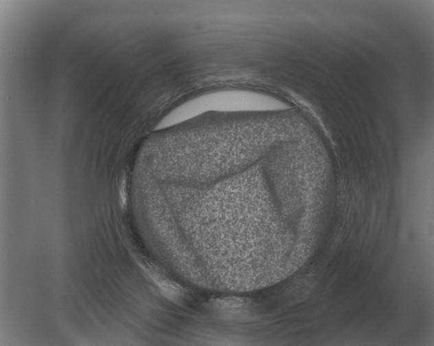 X0000080200069200701051759