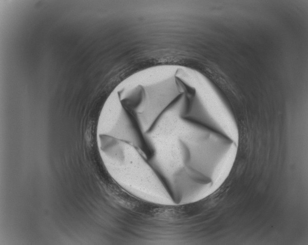 X0000080200074200701051759