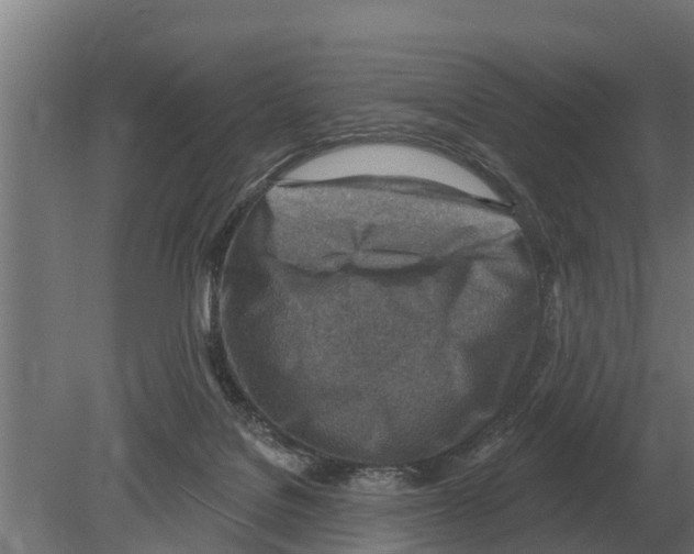 X0000080200076200701051759