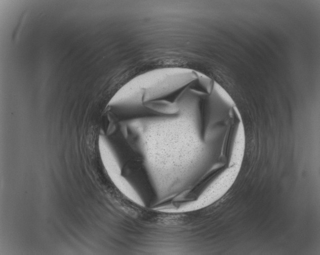 X0000080200078200701051800