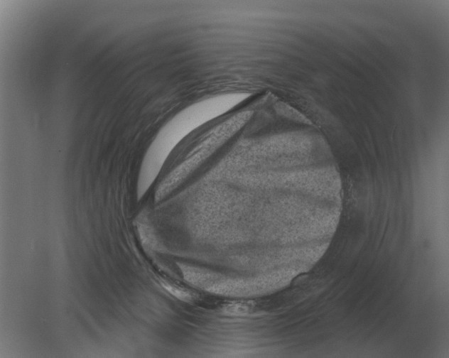 X0000080200080200701051800