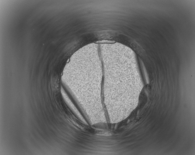 X0000080200081200701051800