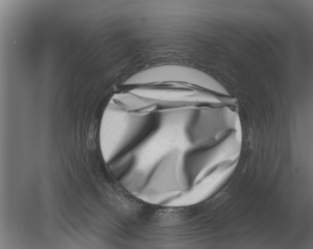 X0000080200082200701051800