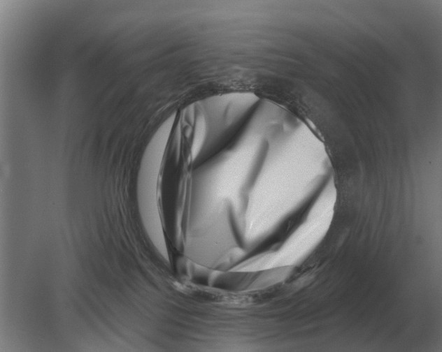 X0000080200088200701051800