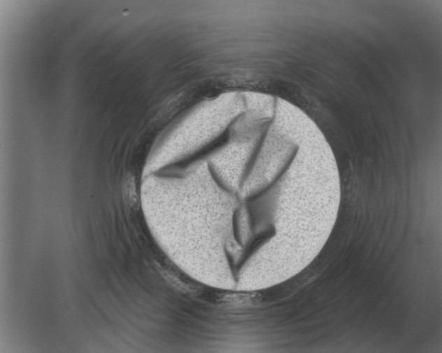 X0000080200089200701051800