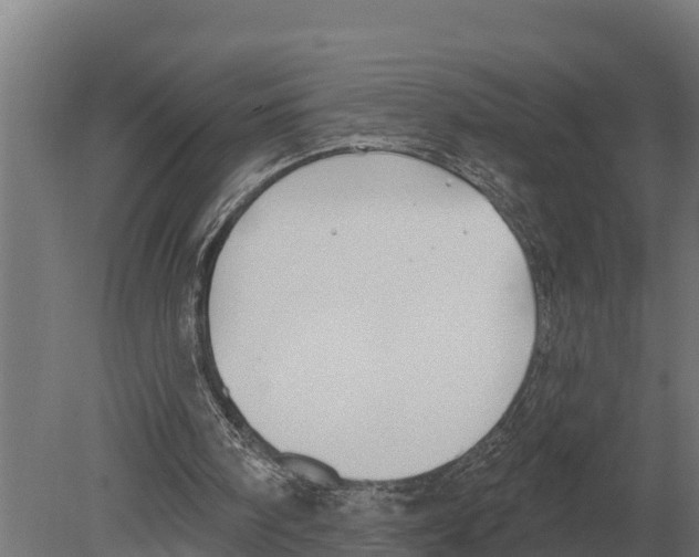 X0000080200098200701051759