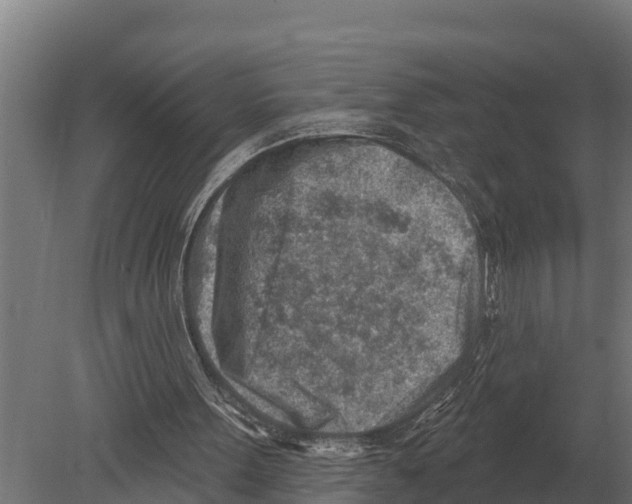 X0000080200099200701051759