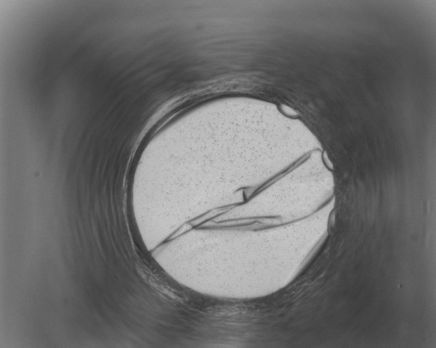 X0000080200100200701051759