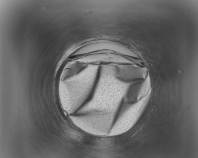 X0000080200102200701051759