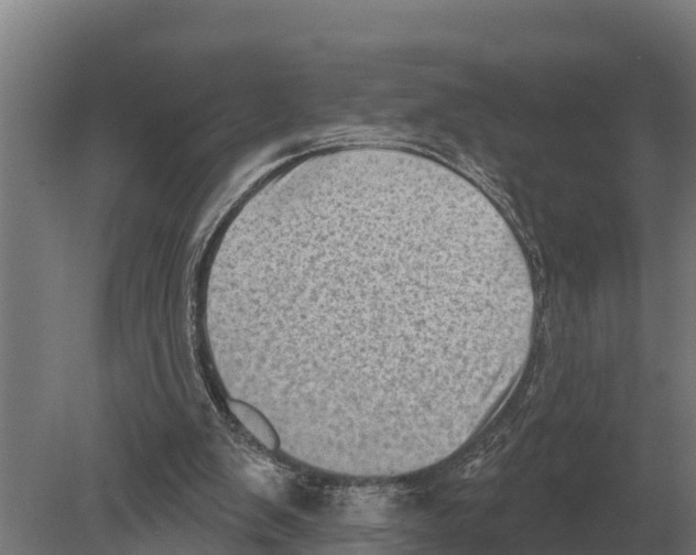 X0000080200103200701051759