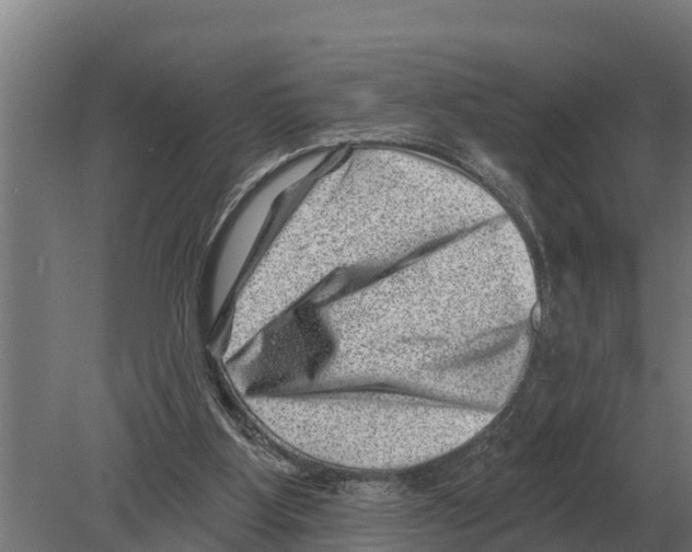 X0000080200107200701051759