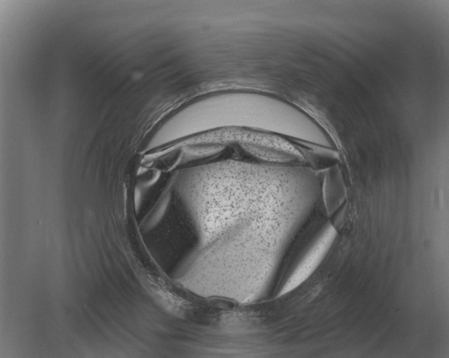 X0000080200109200701051759