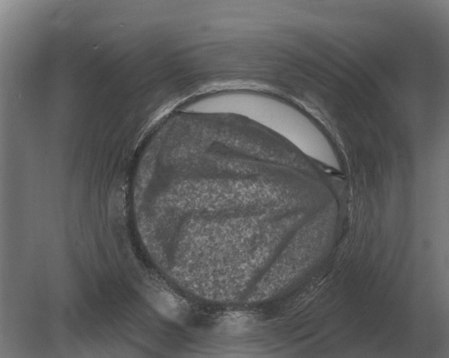 X0000080200111200701051759