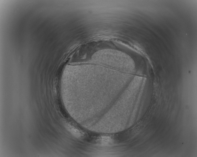 X0000080200114200701051759