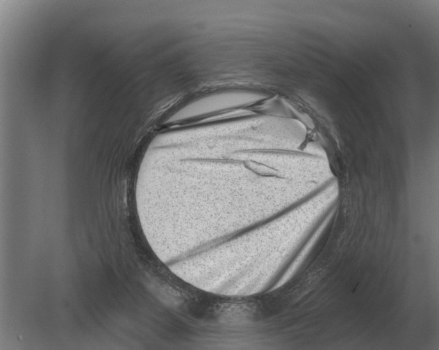 X0000080200115200701051759