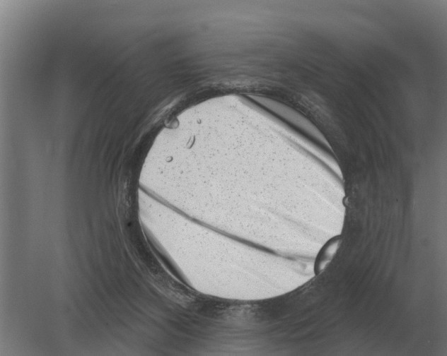 X0000080200116200701051759