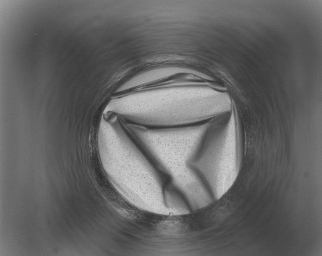 X0000080200119200701051759