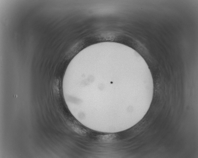 X0000080200122200701051759