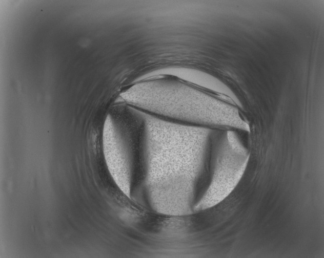 X0000080200123200701051759