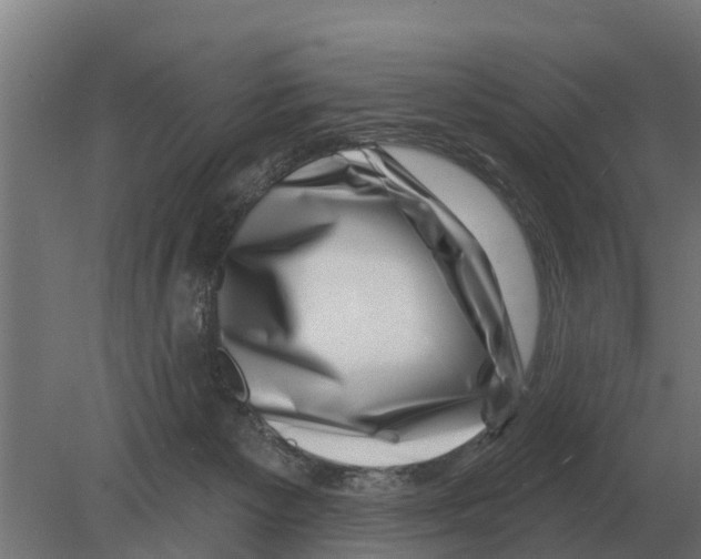 X0000080200125200701051759