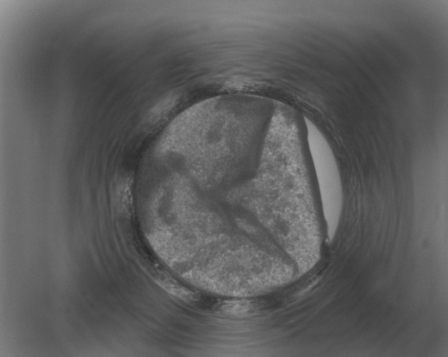 X0000080200127200701051759