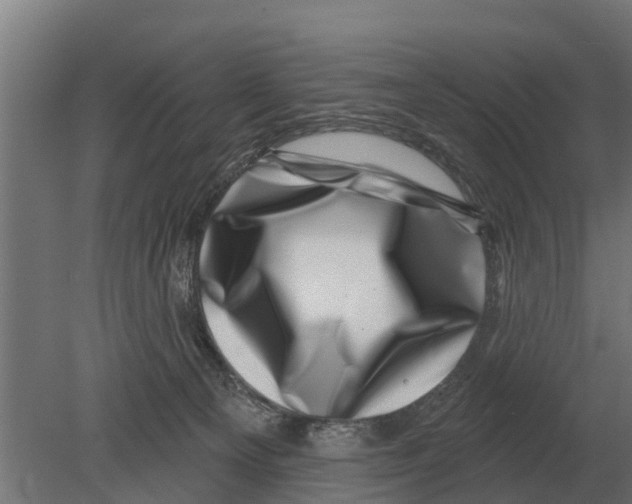 X0000080200129200701051758