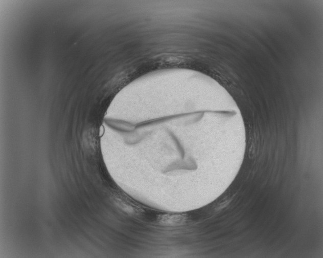 X0000080200135200701051758