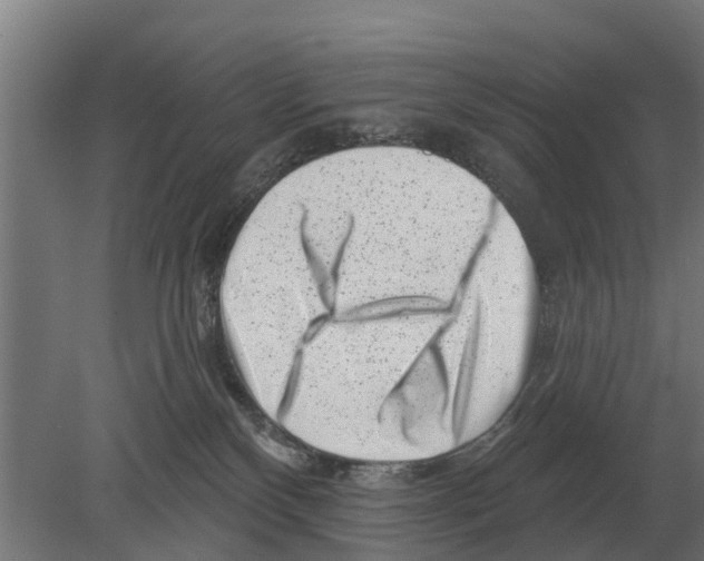 X0000080200136200701051758