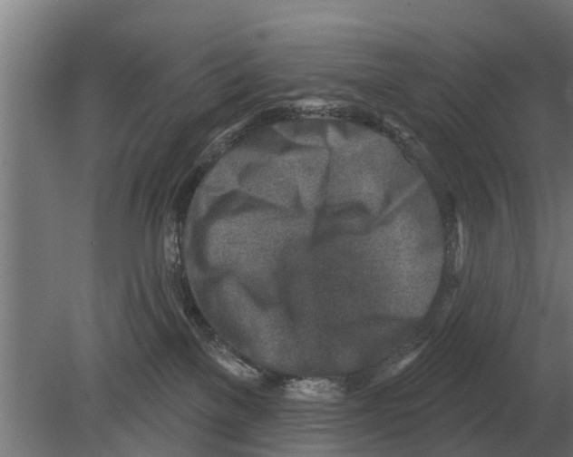 X0000080200137200701051758