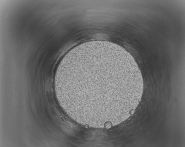 X0000080200146200701051757