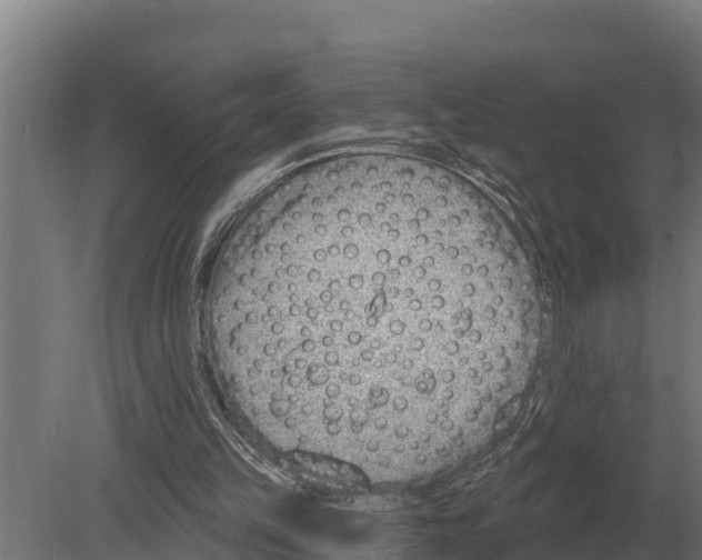 X0000080200149200701051757