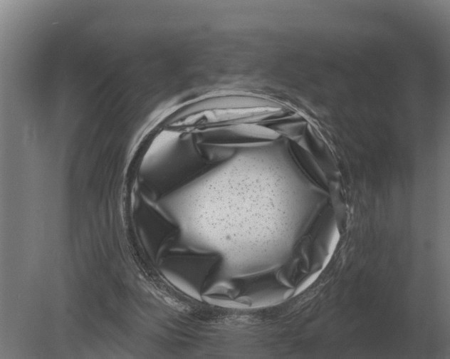 X0000080200152200701051758