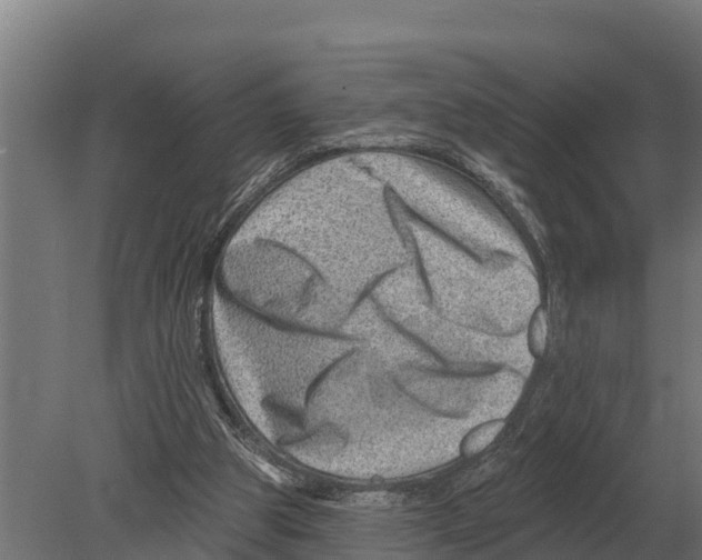 X0000080200153200701051758