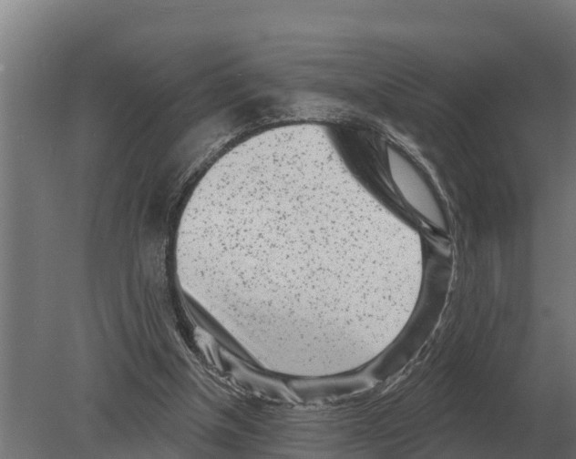 X0000080200154200701051758