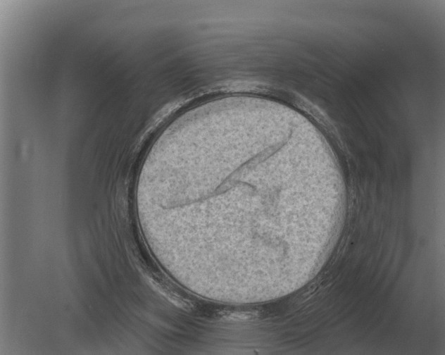 X0000080200155200701051758