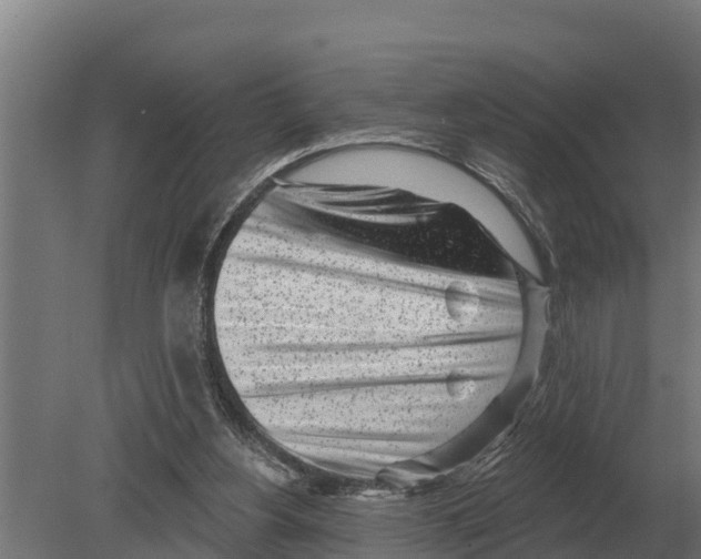 X0000080200156200701051758