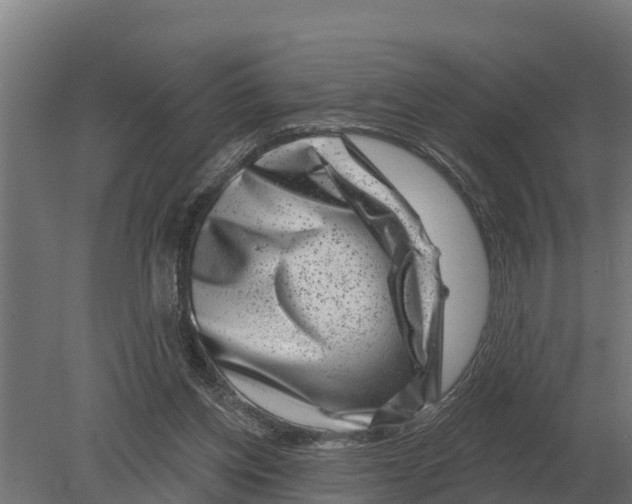 X0000080200158200701051758