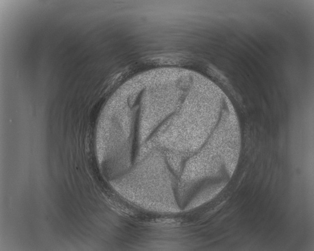 X0000080200161200701051758